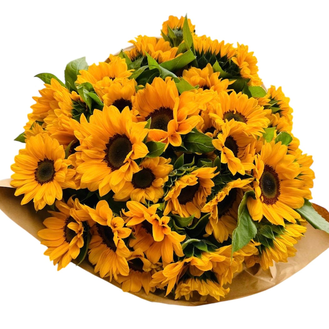 Fascio 40 Girasoli