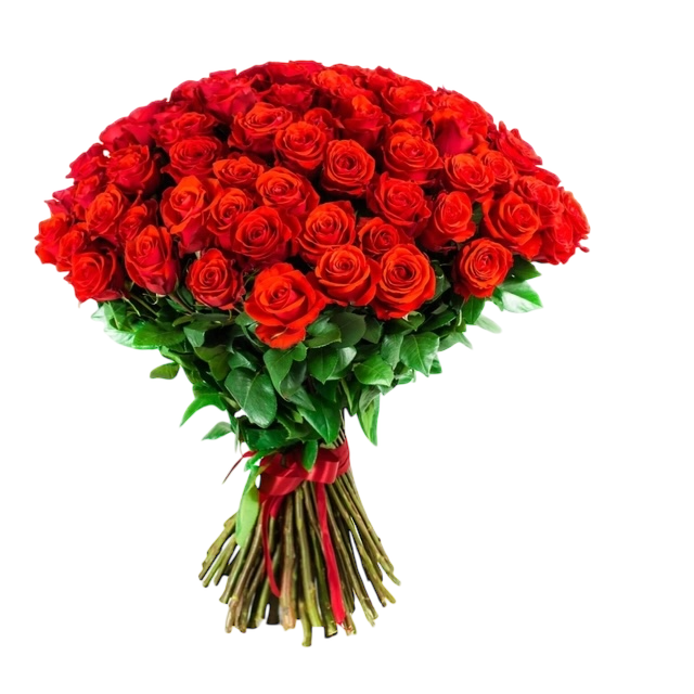 Fascio 50 rose colombiane
