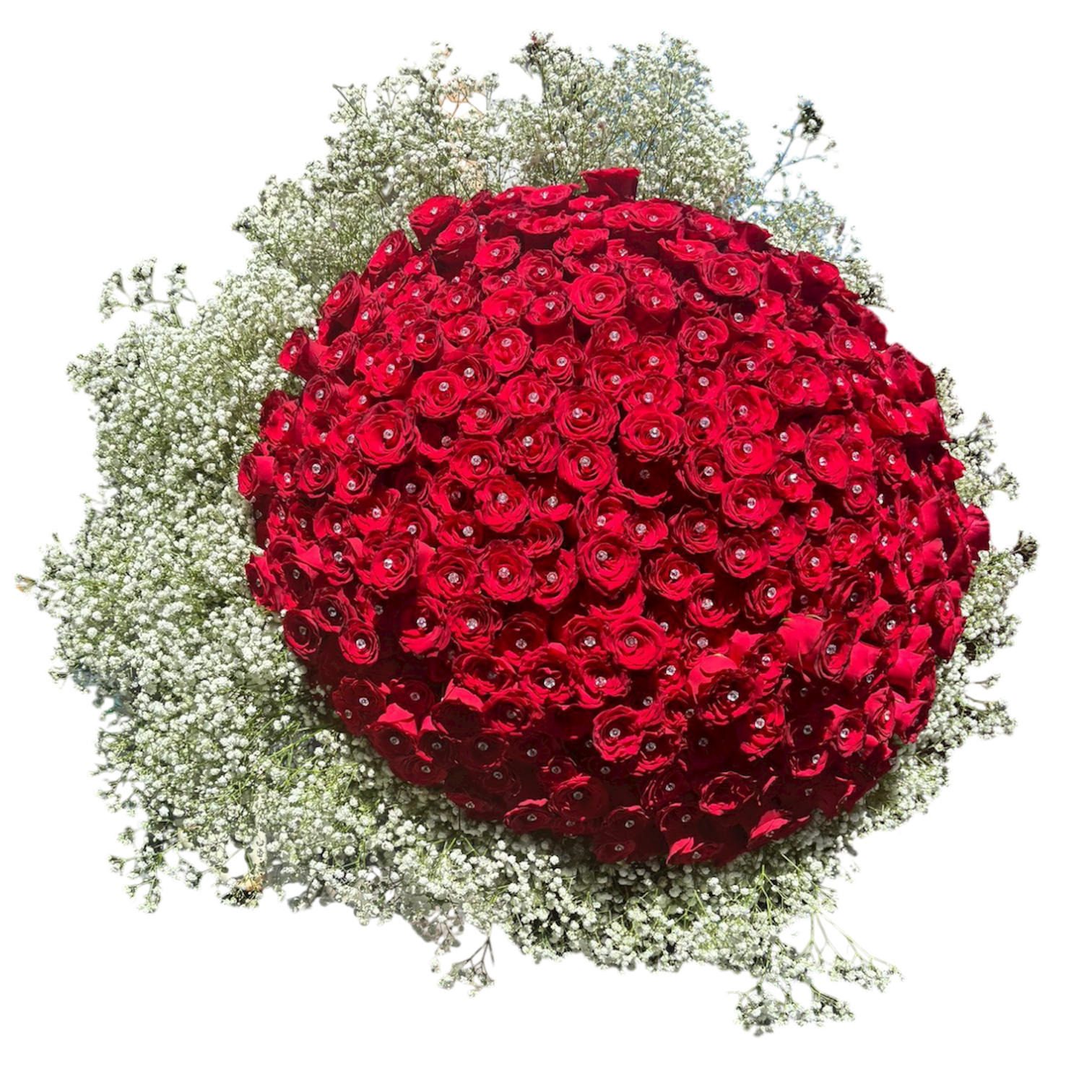 Fascio 500 Rose e Gipsofila